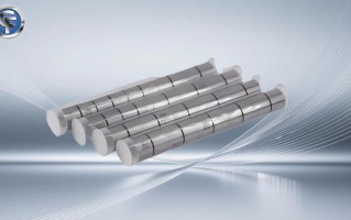 I-10型号美国C-FLEX枢轴轴承