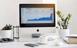 G-20 型号美国C-FLEX单头轴承