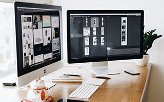 G-20 型号美国C-FLEX单头轴承